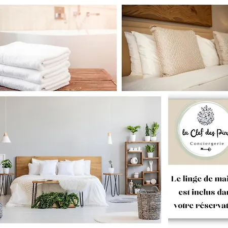 Le Petit Desbiey Arcachon